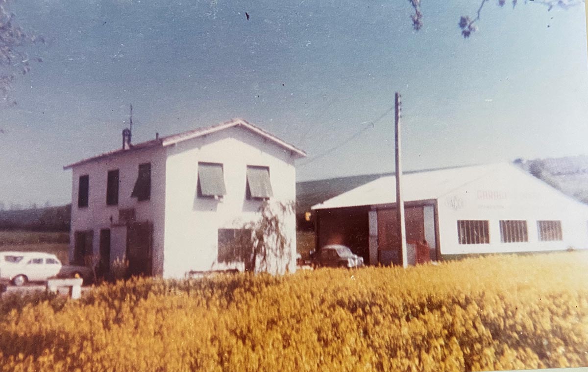 1966